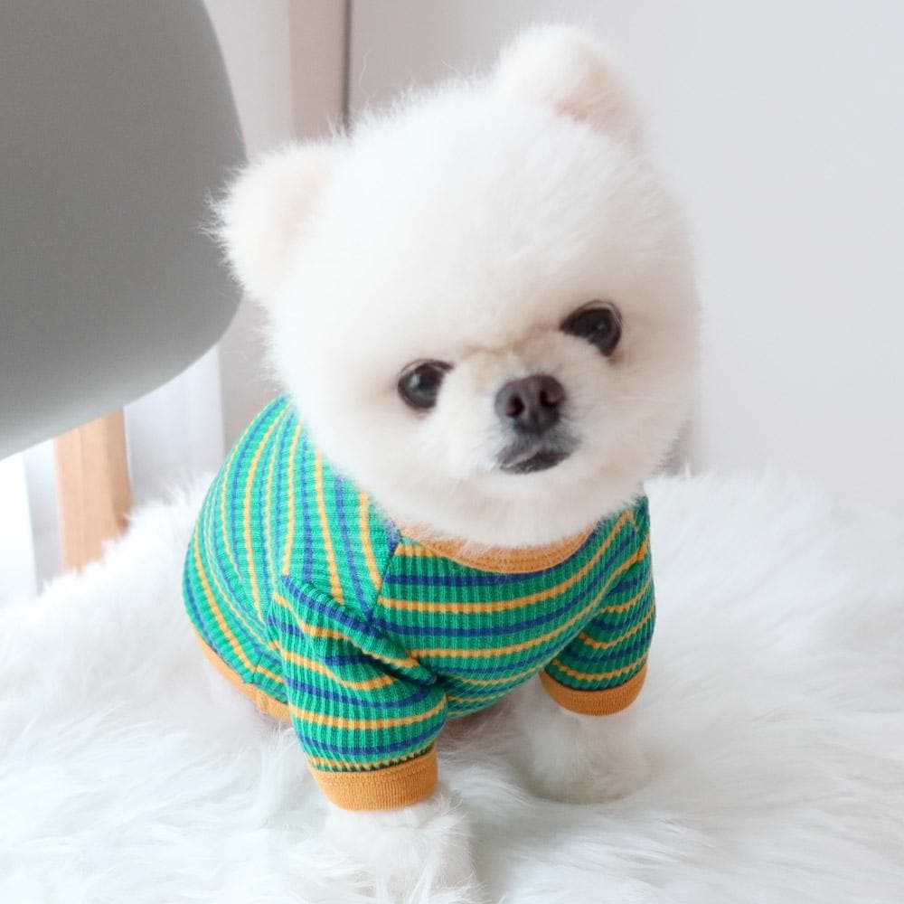 Candy Stripe Dog Tee, Soft Ribbed Fabric, Retro Style (S-XL) - NKpup