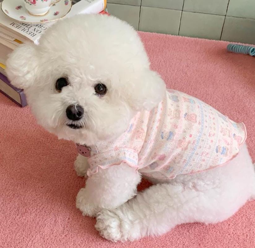 Sweet Doll Ruffle Dog Tee, Pastel Print, Soft Ribbed Fabric (S-2XL) - NKpup