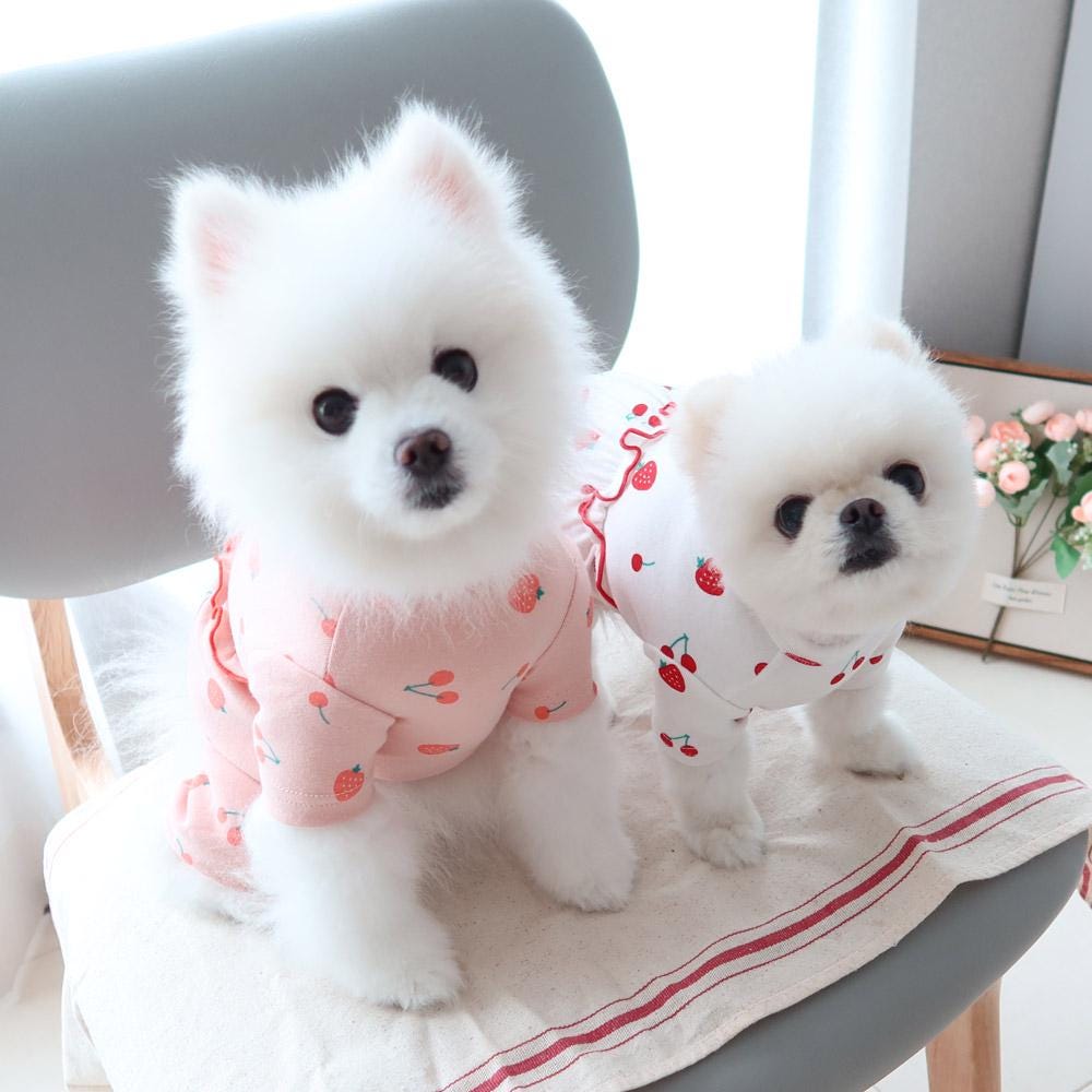 Strawberry Cherry Frill Overall, S-2XL, Dog Romper, Dog Jumpsuit, Dog Pants, Small Dog Clothes, Dog Apparel, NKPUP - NKpup