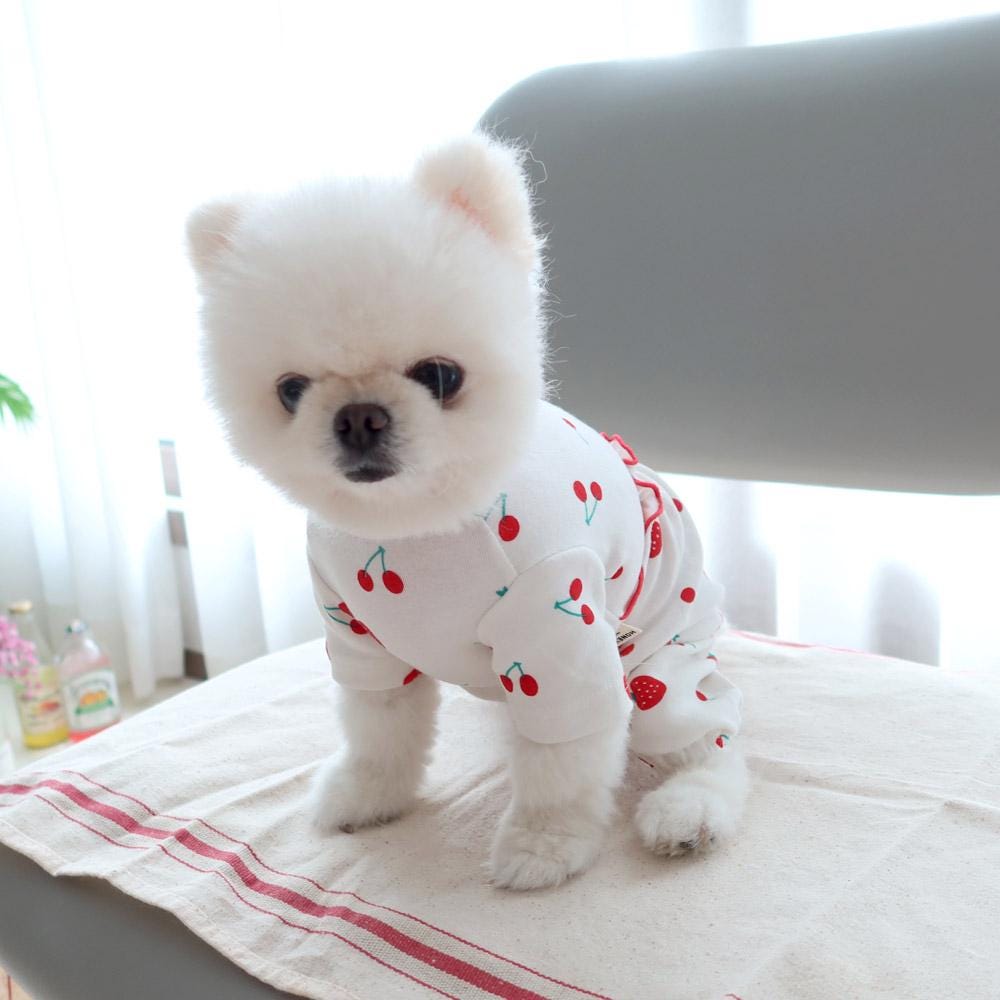 Strawberry Cherry Frill Overall, S-2XL, Dog Romper, Dog Jumpsuit, Dog Pants, Small Dog Clothes, Dog Apparel, NKPUP - NKpup