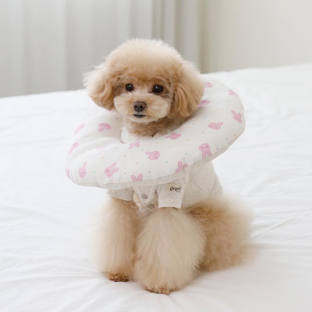GOTS Organic Cotton Dog Cone Collar, Waterproof, 2 Designs - NKpup