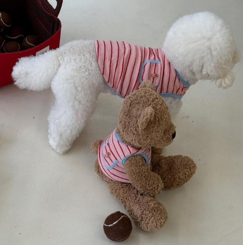 Poki Stripe Dog Shirt, Fuzzy Texture, Mini Pocket - NKpup