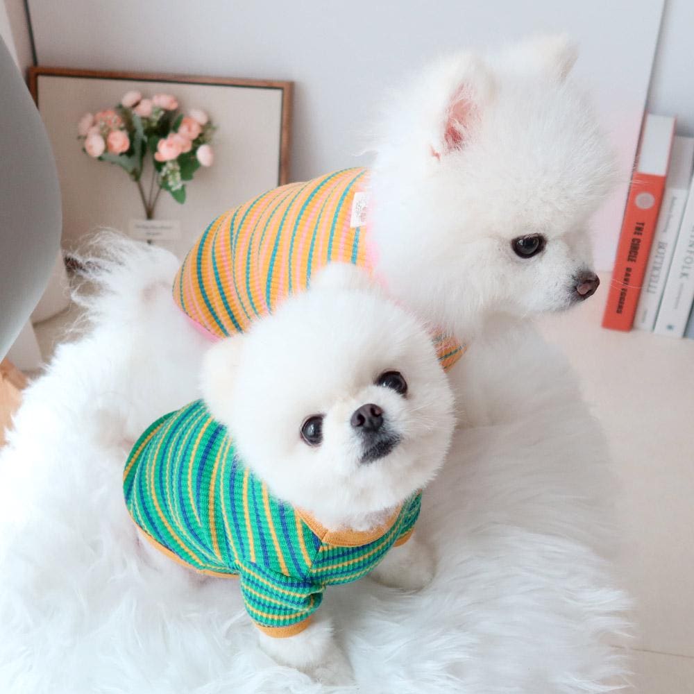 Candy Stripe Dog Tee, Soft Ribbed Fabric, Retro Style (S-XL) - NKpup
