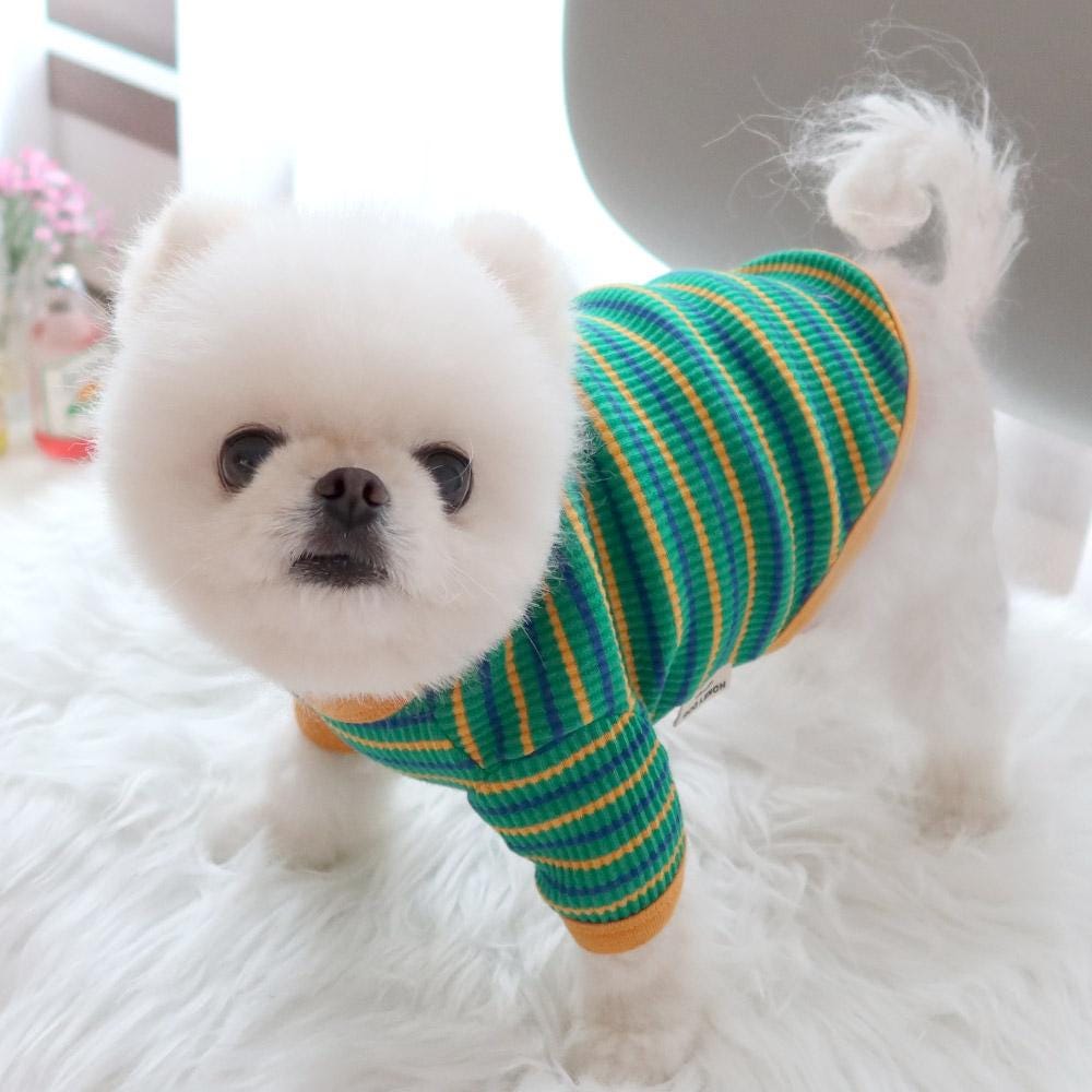 Candy Stripe Dog Tee, Soft Ribbed Fabric, Retro Style (S-XL) - NKpup
