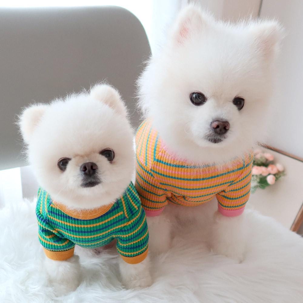 Candy Stripe Dog Tee, Soft Ribbed Fabric, Retro Style (S-XL) - NKpup