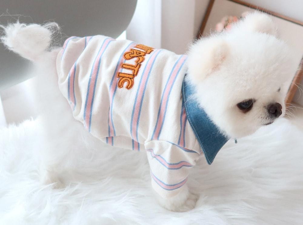 Denim Collar Striped Dog Tee, Embroidered Lettering, Casual Pet Apparel (S-XL) - NKpup