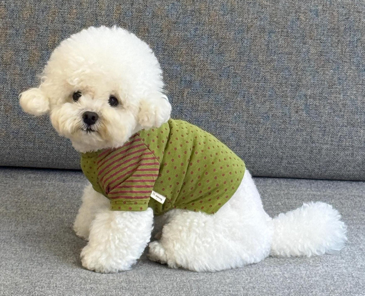 Cute Button Dot Dog Shirt, Striped Sleeves, Playful Detail - NKpup