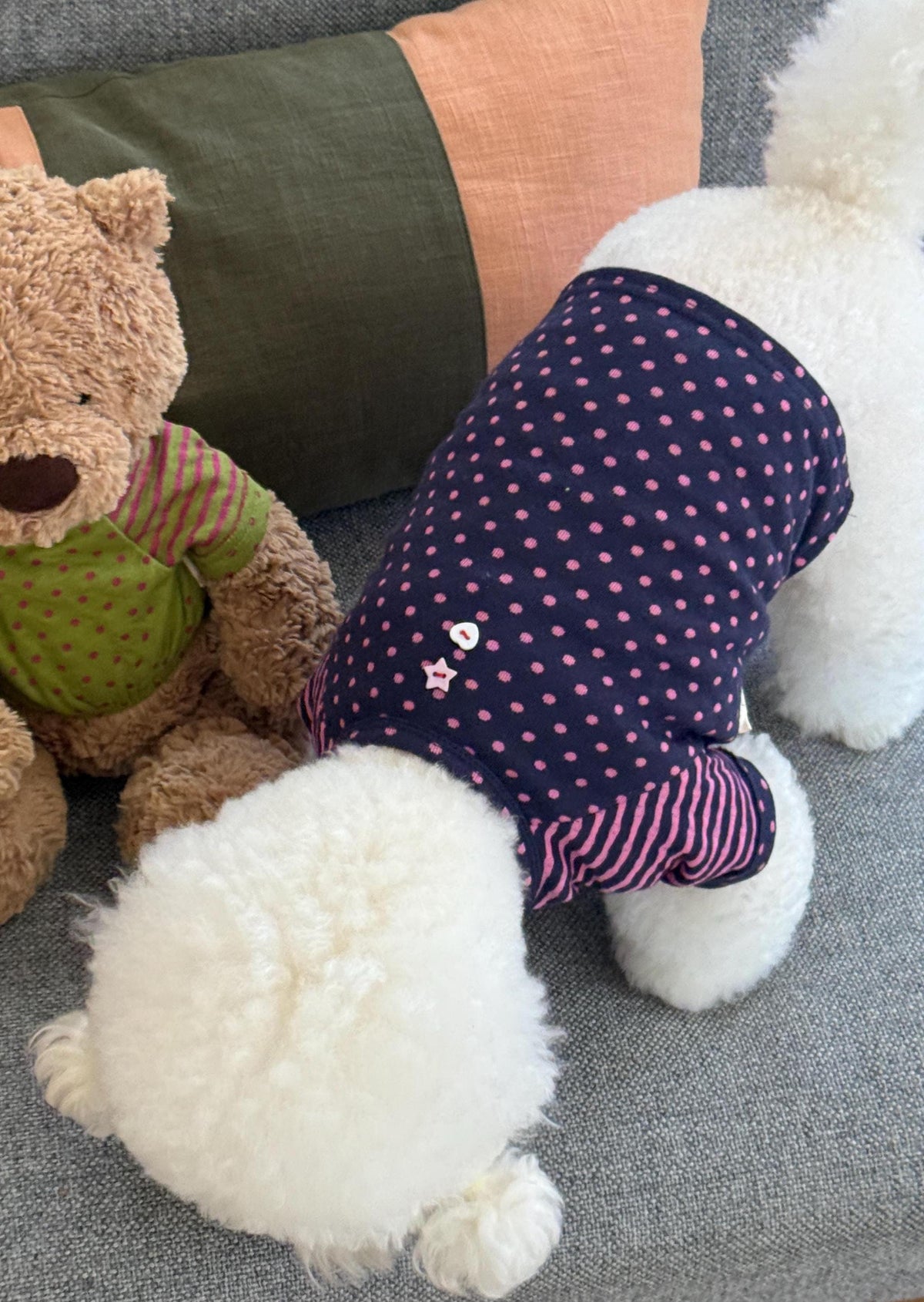 Cute Button Dot Dog Shirt, Striped Sleeves, Playful Detail - NKpup