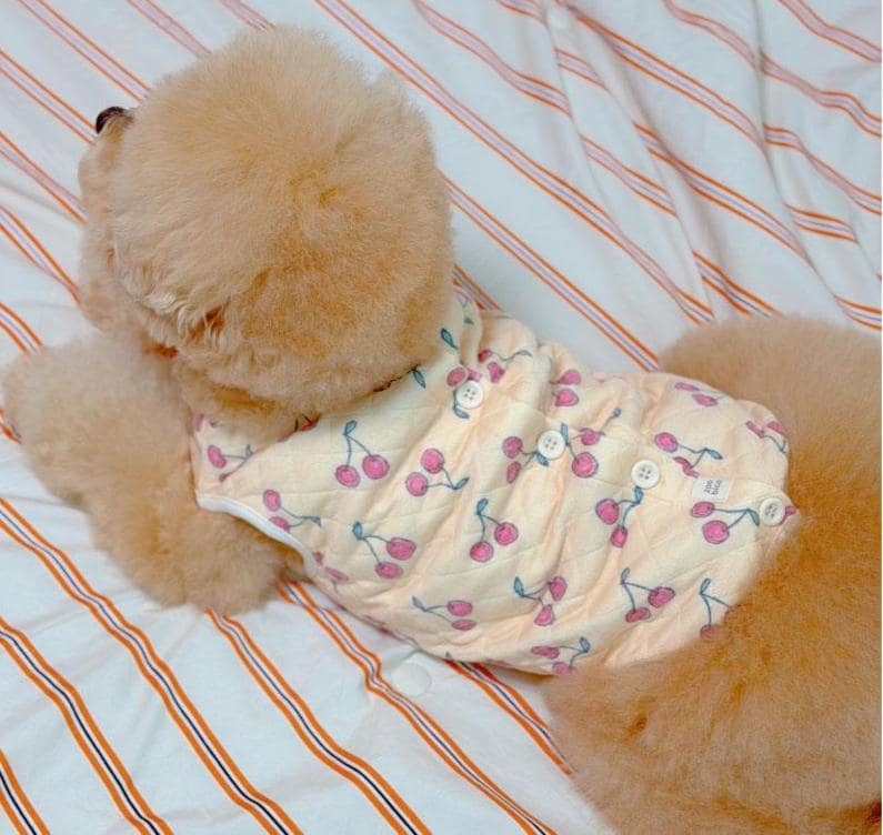 Cherry Quilted Dog Vest, Button Front, Cozy Layering Top - NKpup