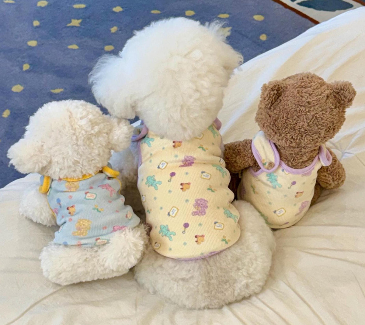 Toy Dog Vest, Pastel Character Print, Rounded Collar - NKpup