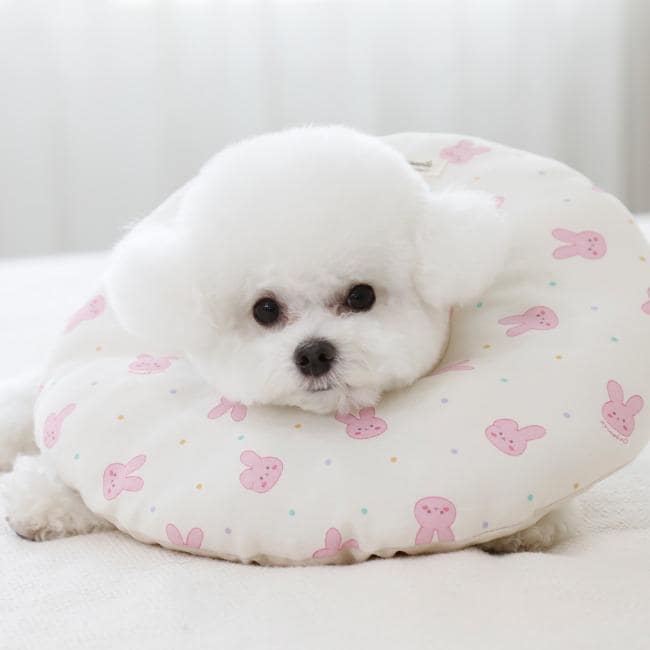 GOTS Organic Cotton Dog Cone Collar, Waterproof, 2 Designs - NKpup