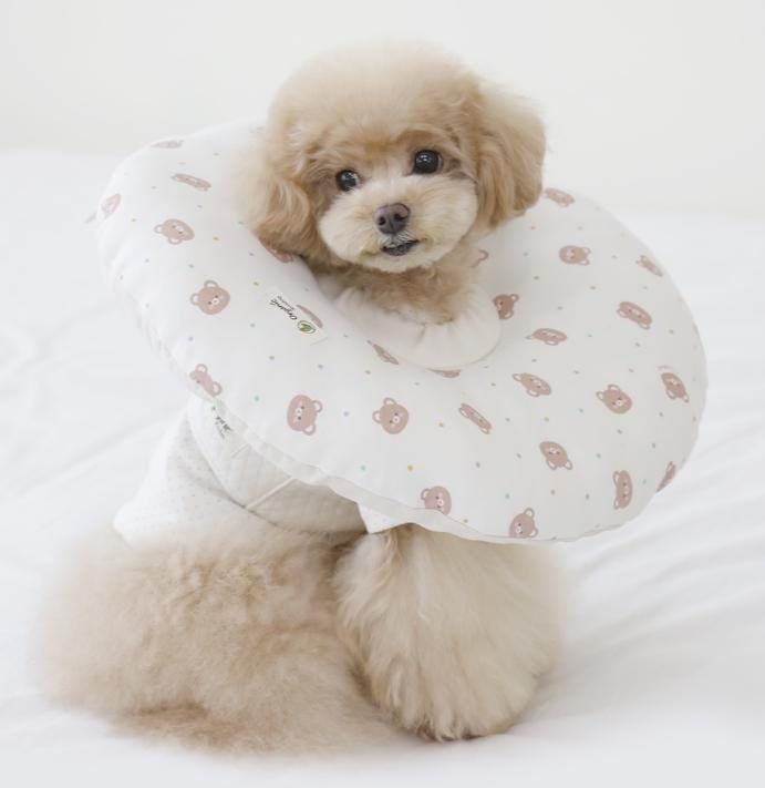 GOTS Organic Cotton Dog Cone Collar, Waterproof, 2 Designs - NKpup