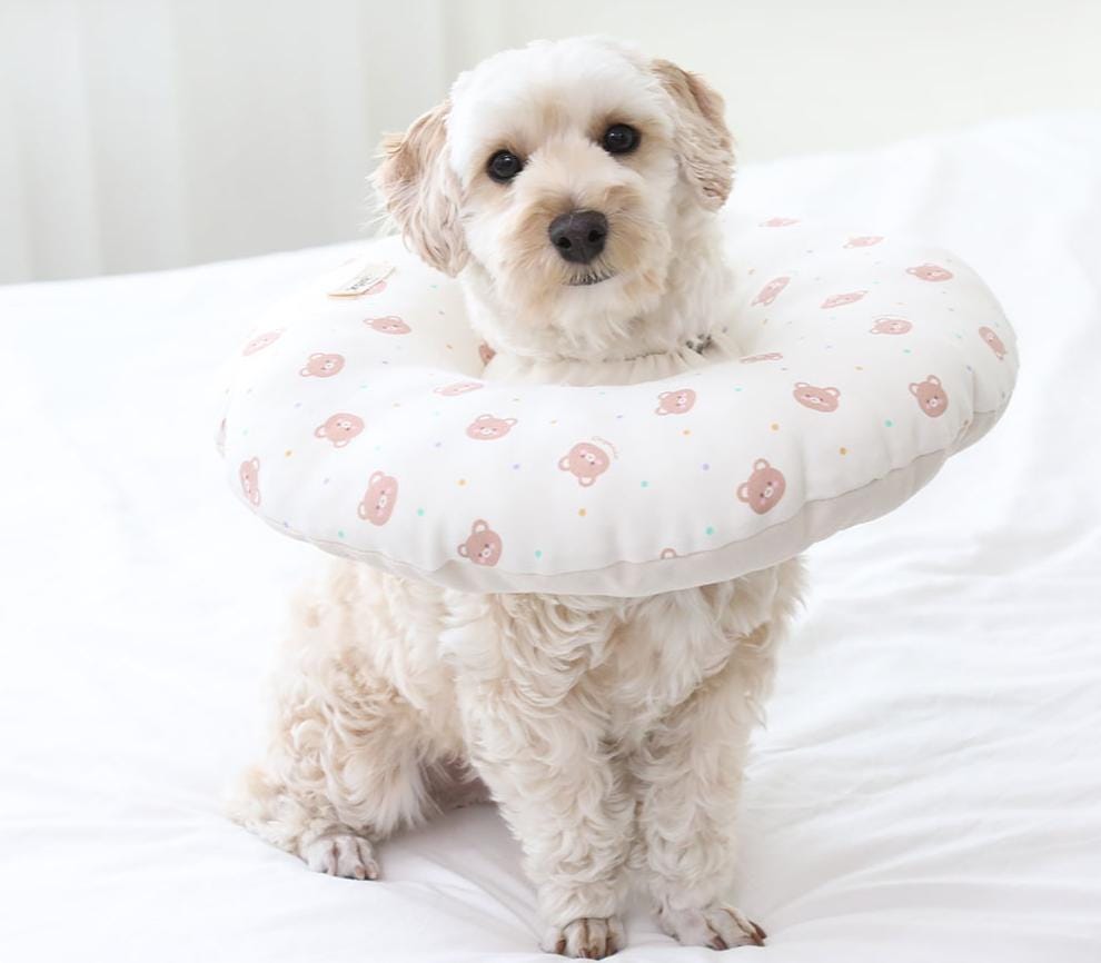 GOTS Organic Cotton Dog Cone Collar, Waterproof, 2 Designs - NKpup