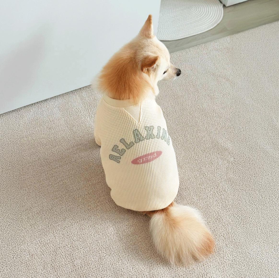 Relaxing Waffle Dog Shirt, Graphic Detail, Casual Pullover - NKpup