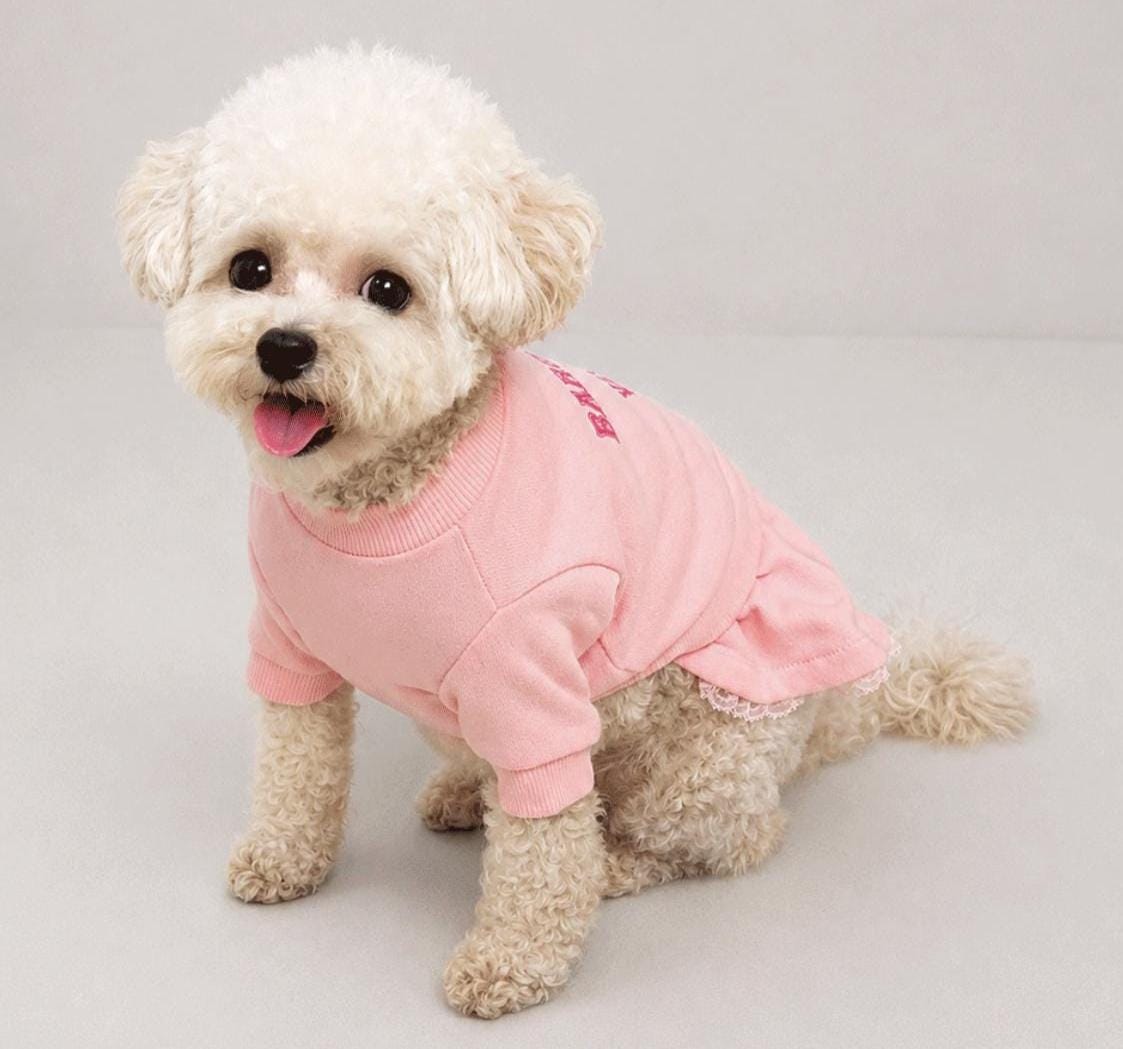 High Teen Dog Dress, Layered Sweatshirt, Tulle Skirt - NKpup