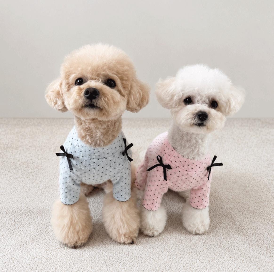 Snow Dot Dog Shirt&Overall, Bow Detail, Lettuce Edge - NKpup