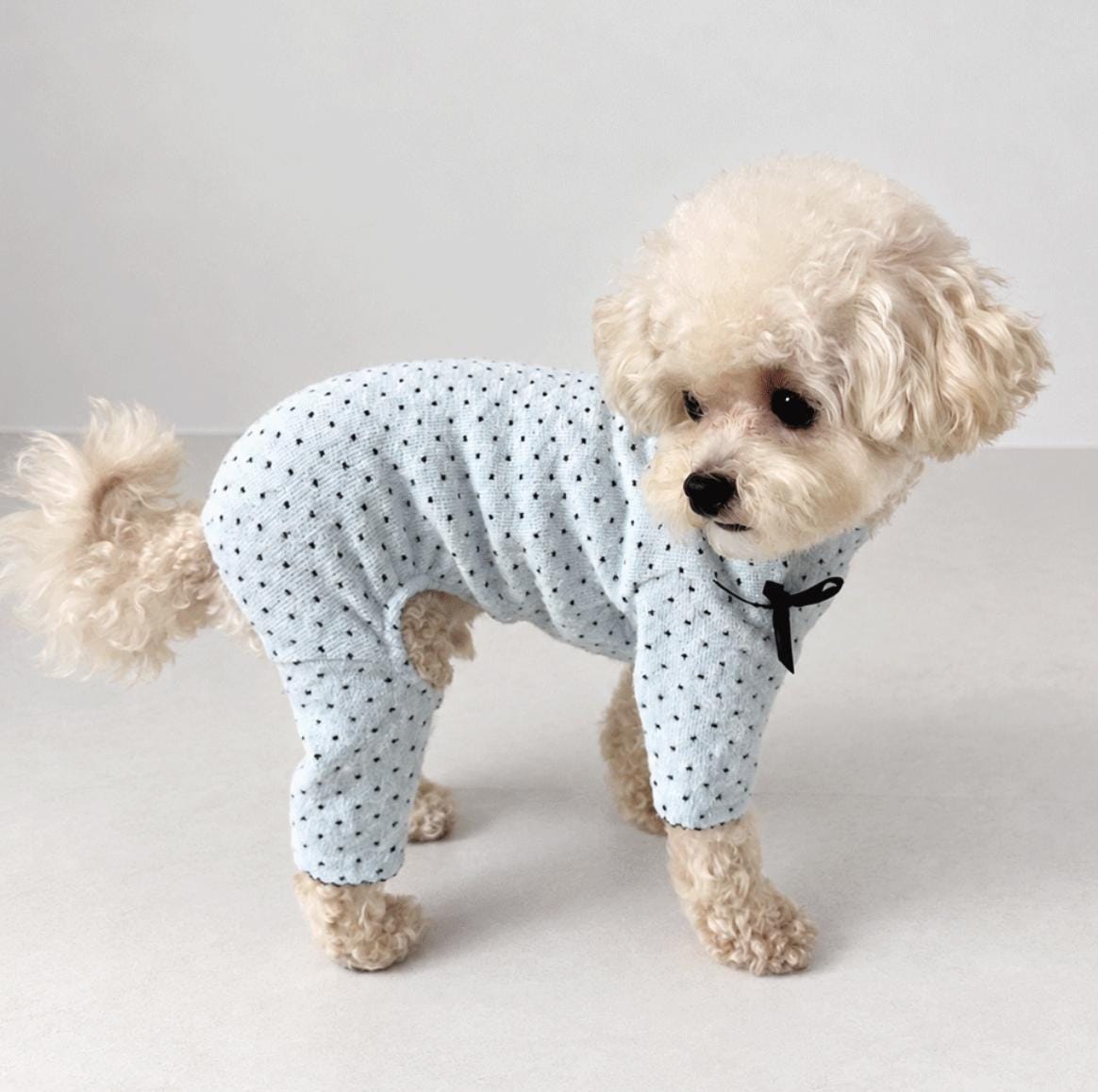 Snow Dot Dog Shirt&Overall, Bow Detail, Lettuce Edge - NKpup