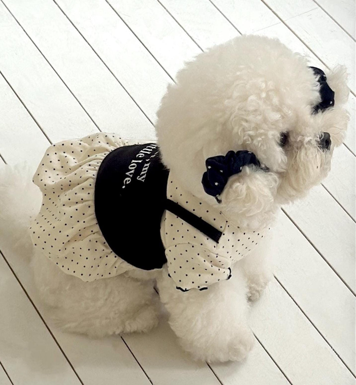Little Dot Layered Dog Dress, Cami Overlay, Gathered Skirt - NKpup