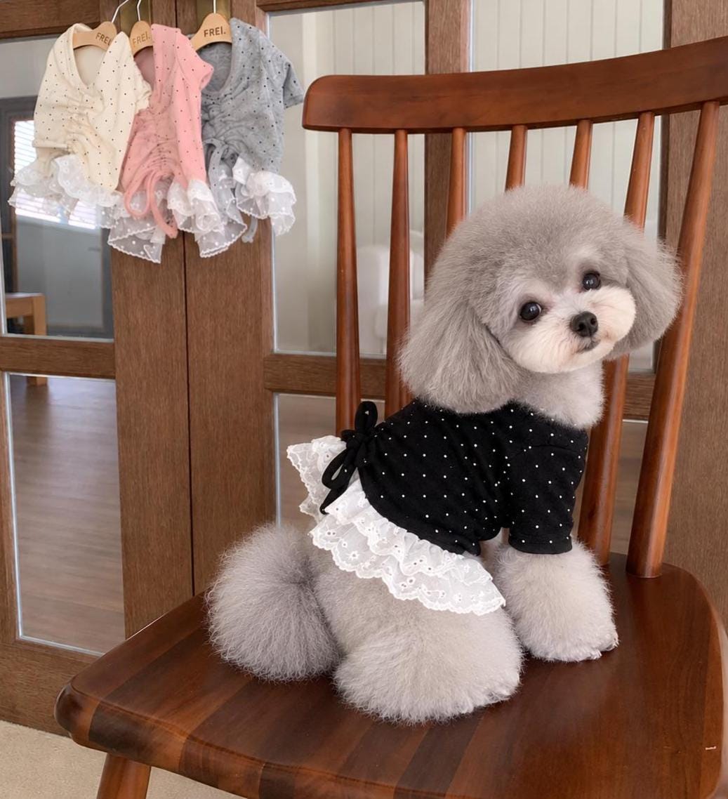 Dot String Lace Dog Dress, Adjustable Ruched Fit, Layered White Lace - NKpup