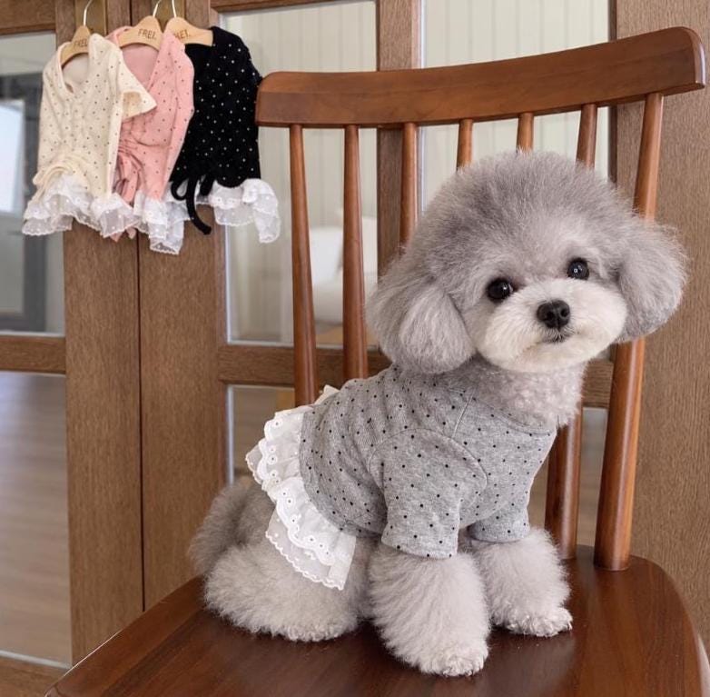 Dot String Lace Dog Dress, Adjustable Ruched Fit, Layered White Lace - NKpup