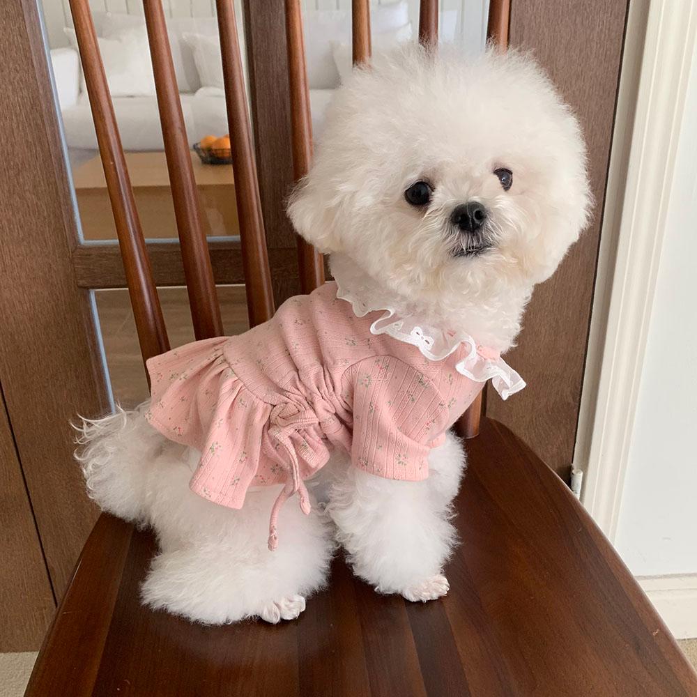 Floral String Lace Dog Dress, Adjustable Ruching, Flared Skirt - NKpup