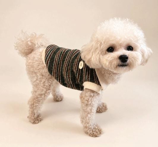 Stripe Collar Knit Dog Vest, Soft Stretch Blend, Ribbed Hem - NKpup