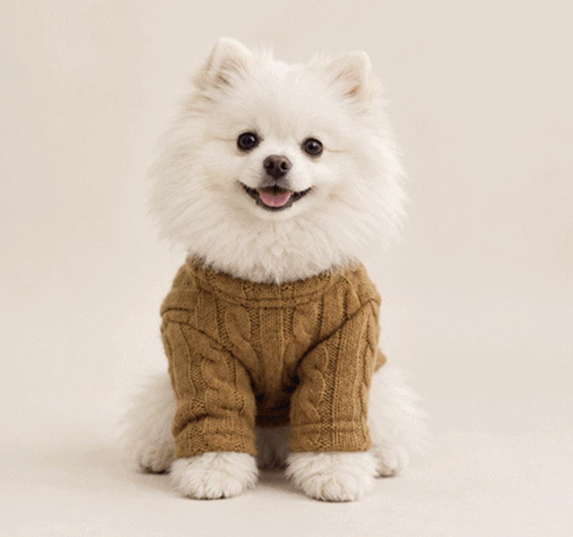 Classic Cable Knit Dog Cardigan, Button Front - NKpup