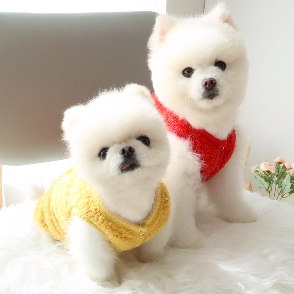 Food Boa Fleece Dog Vest, Embroidered Characters - NKpup