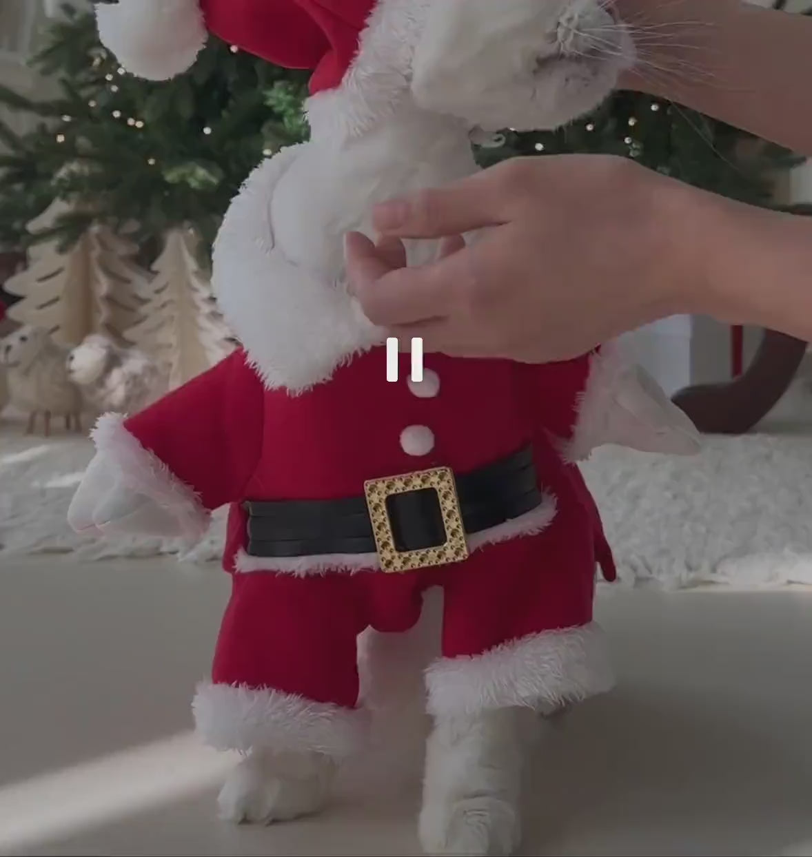 Santa Costume