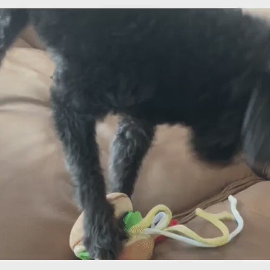 Snuffle Sandwich Dog Toy