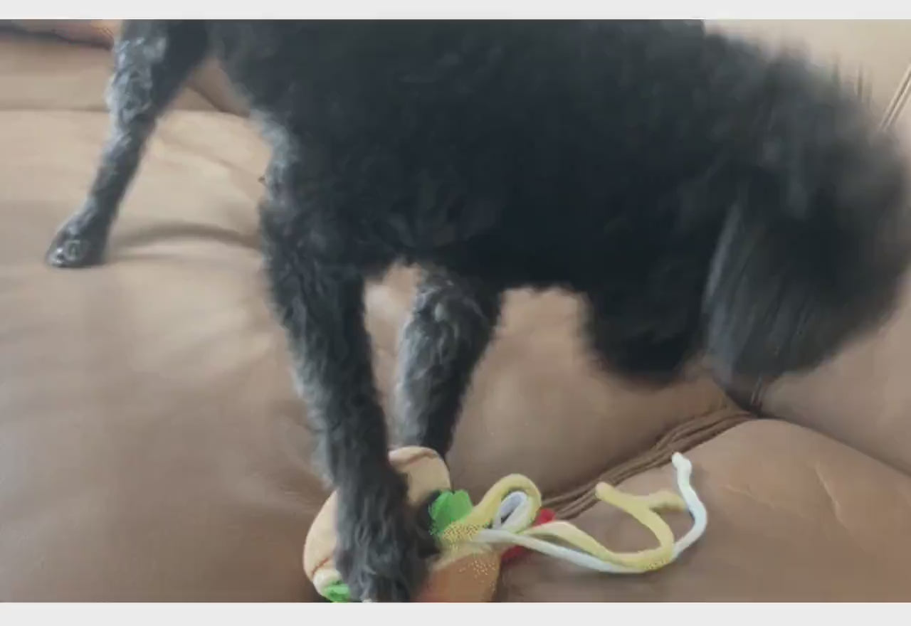Snuffle Sandwich Dog Toy