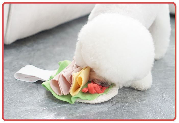 Tortilla Wrap Snuffle Dog Toy
