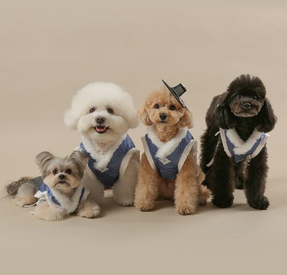 Royal Quilted Baeja Vest Pet Hanbok