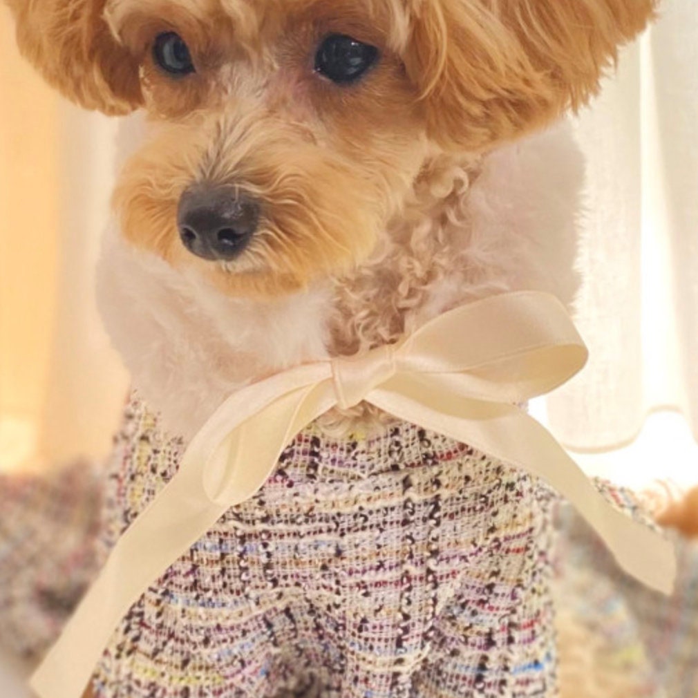 Mink Dog Neck Warmer