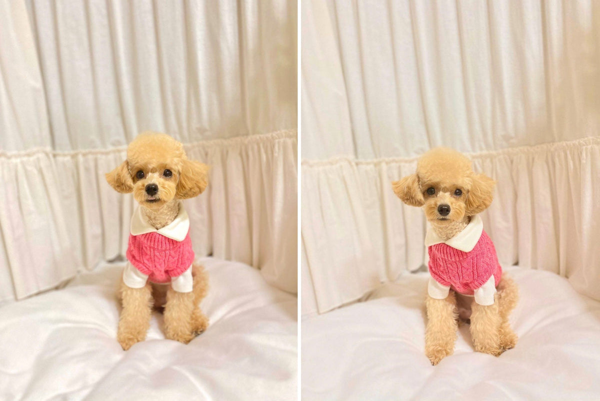 NKpup pink cable knit dog vest with a white collar