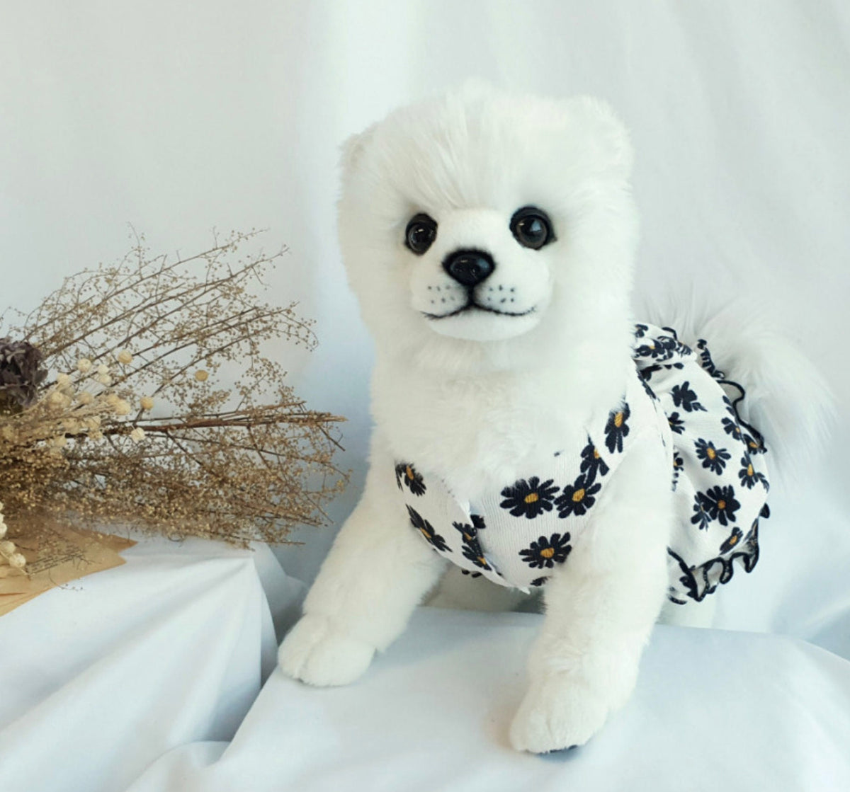 White dog wearing a floral print corduroy dress with black daisy patterns