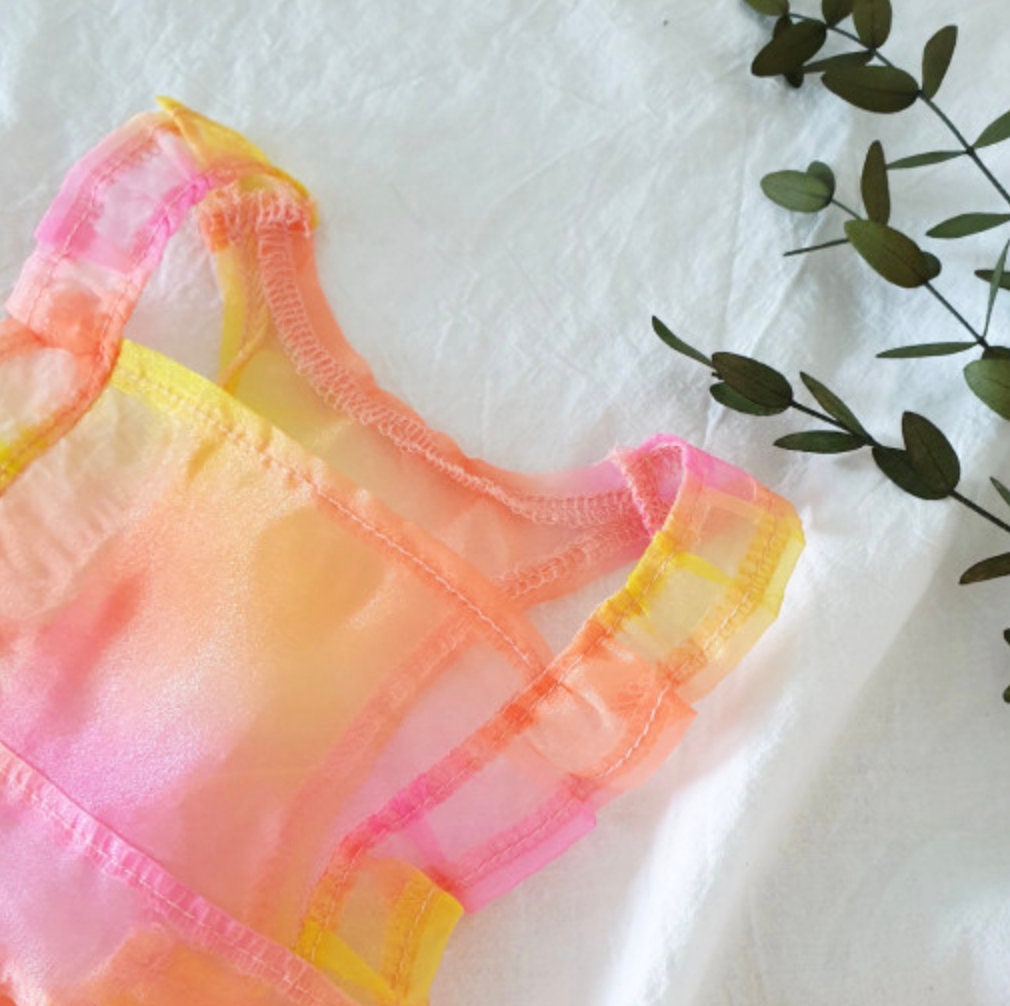 Sheer Organza Dog Dress