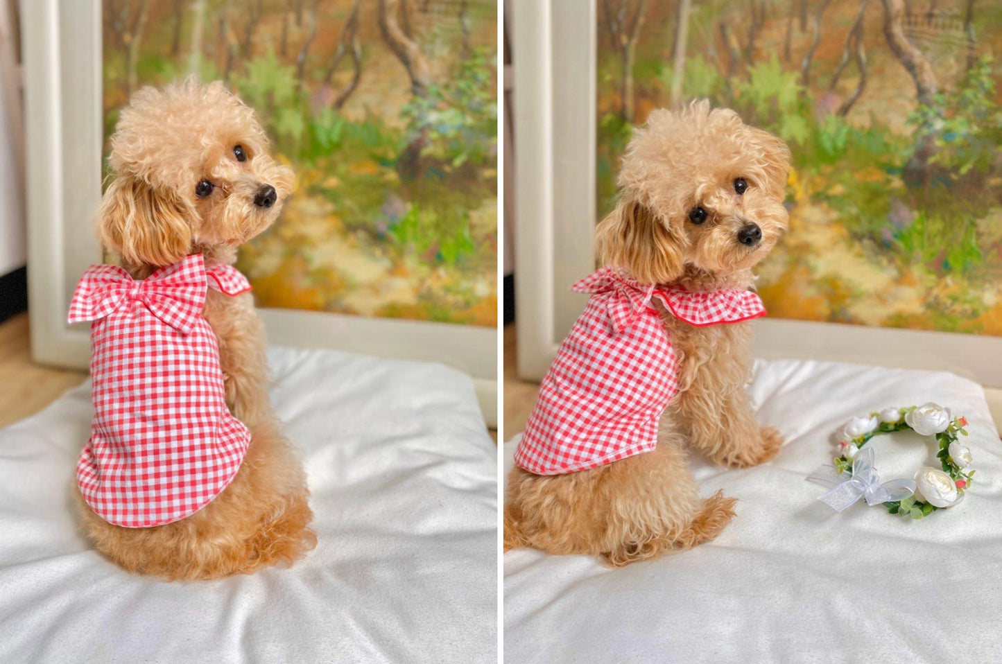 Gingham Ribbon Dress