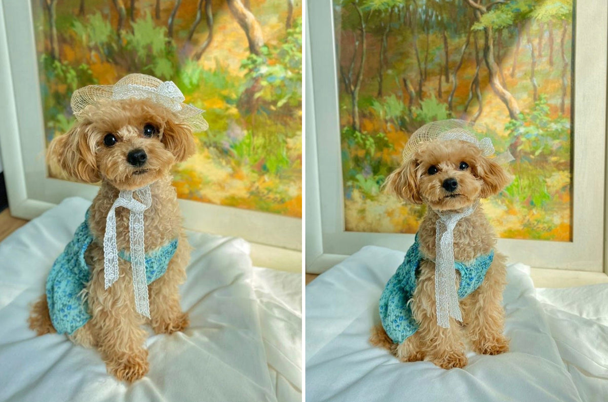 Floral Smocked Dog Dress