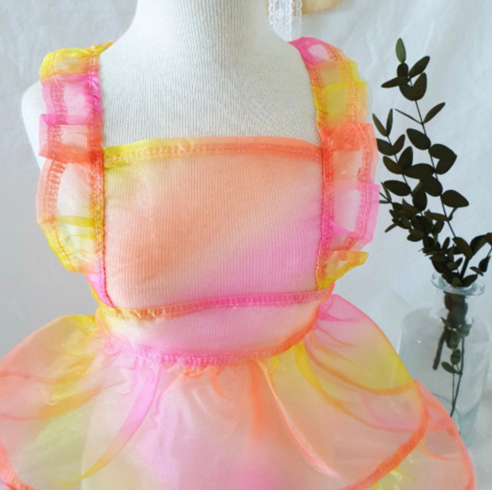 Sheer Organza Dog Dress