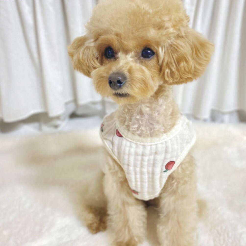 Organic Peach Dog Vest