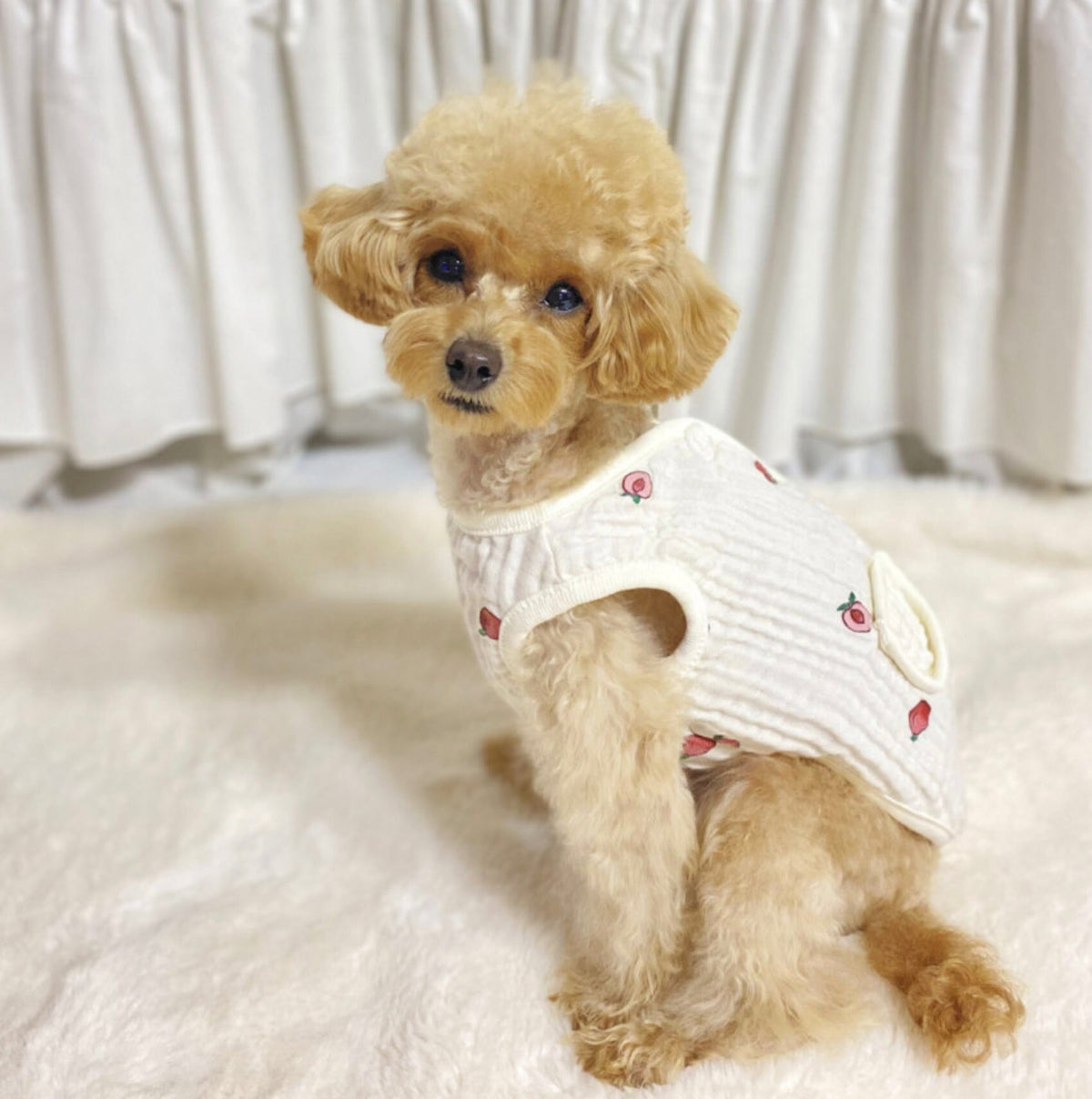 Organic Peach Dog Vest