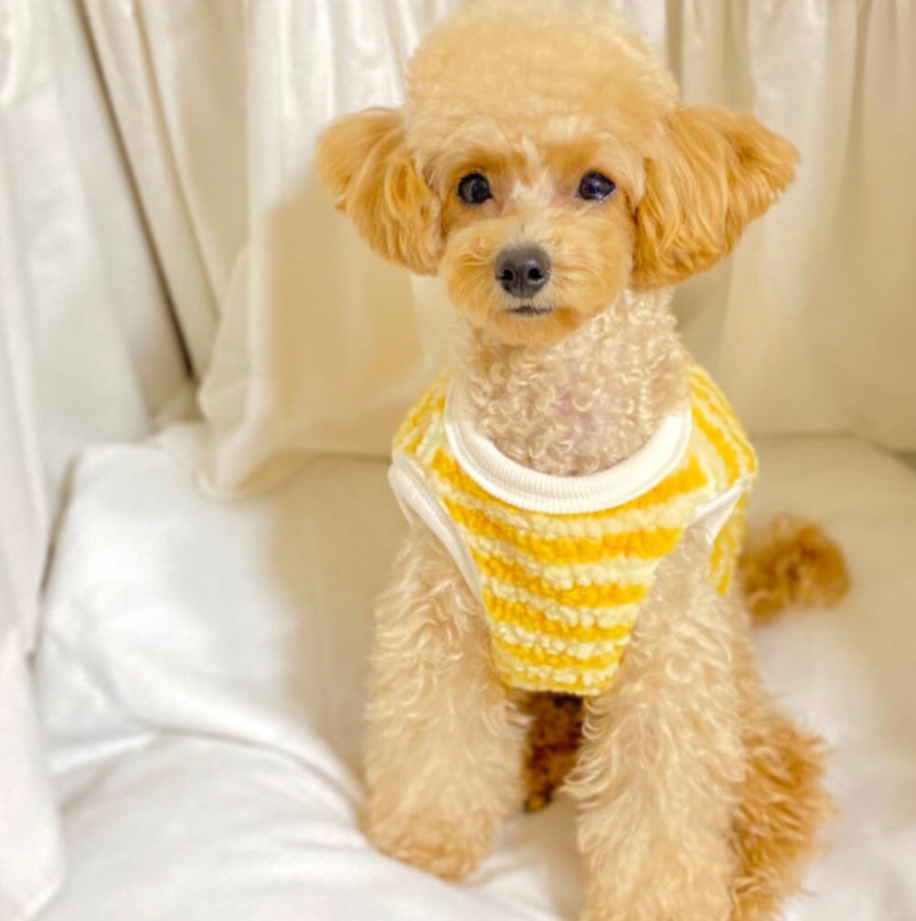 Yellow and white stripe fleece dog vest by NKpup