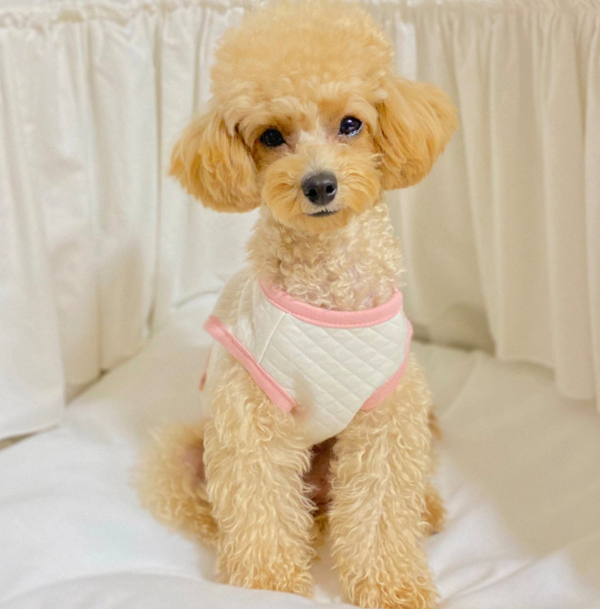 NKpup organic quilted dog vest in cream with pink trim