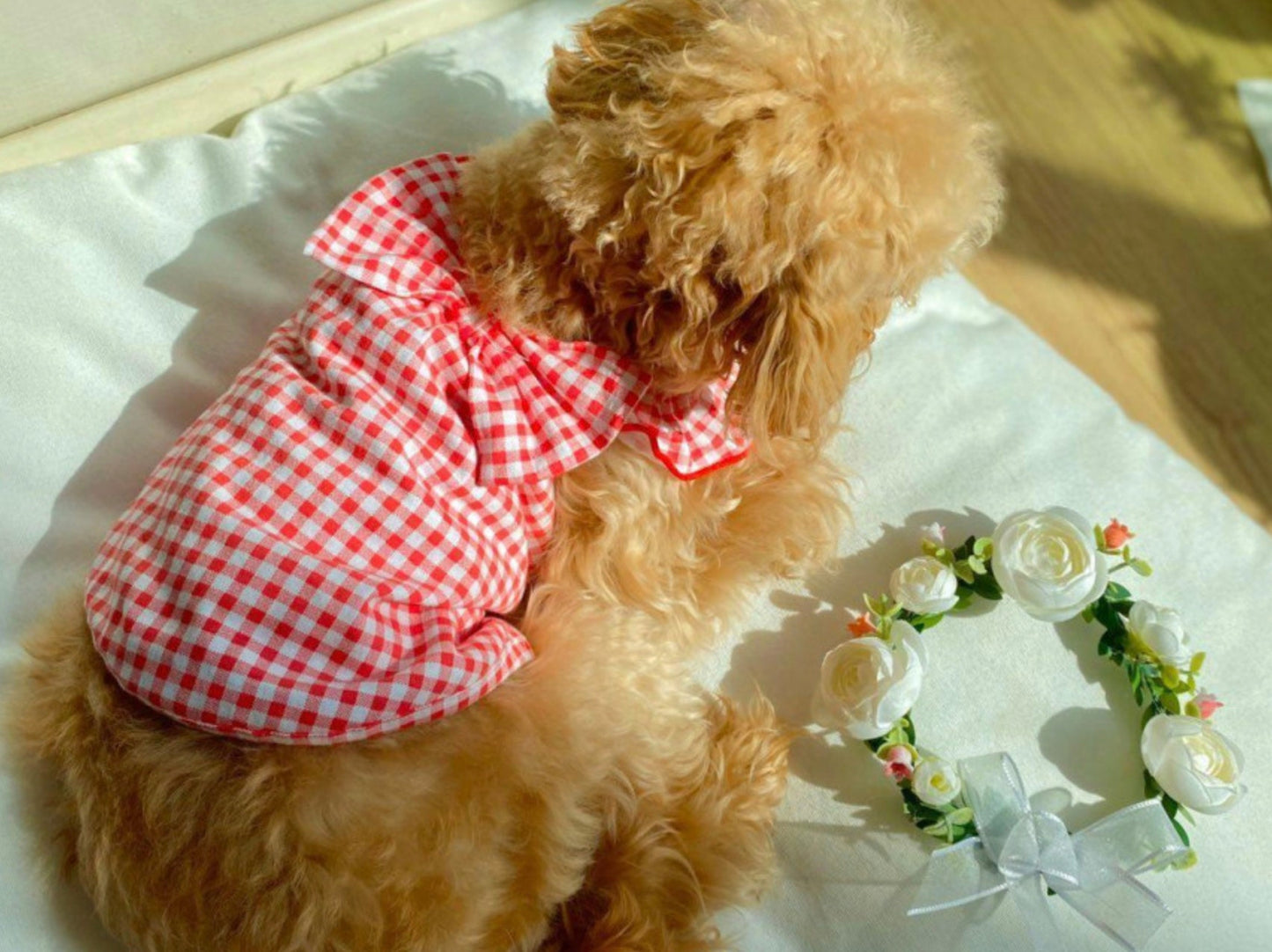 Gingham Ribbon Dress