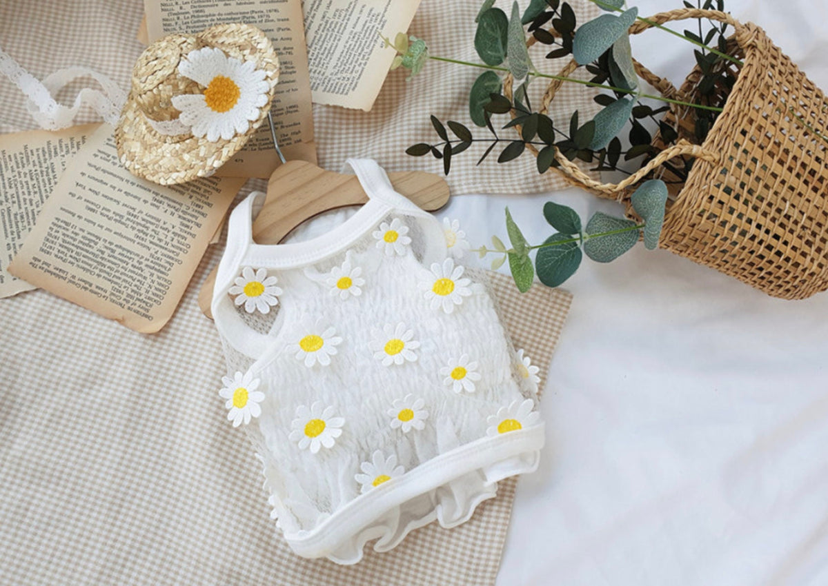 NKpup white daisy chiffon dog crop top with 3D floral embroidery