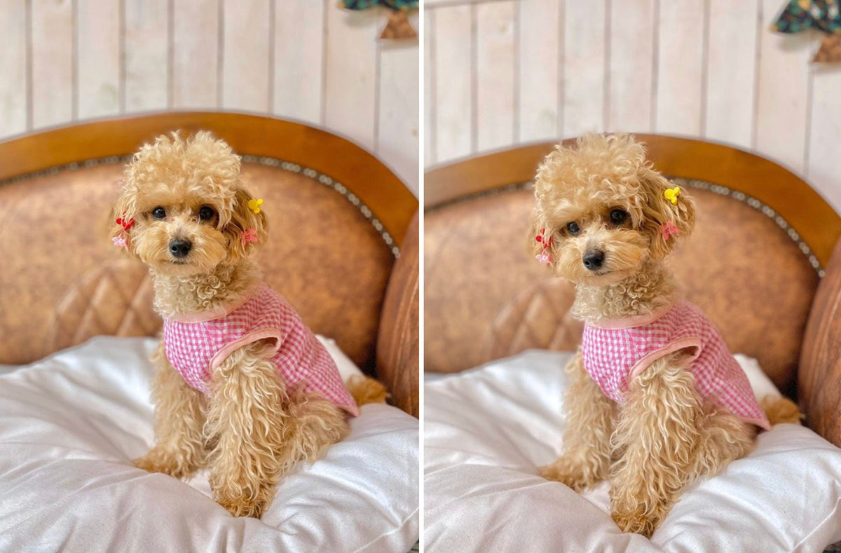 NKpup vintage-inspired pink and white gingham dog vest