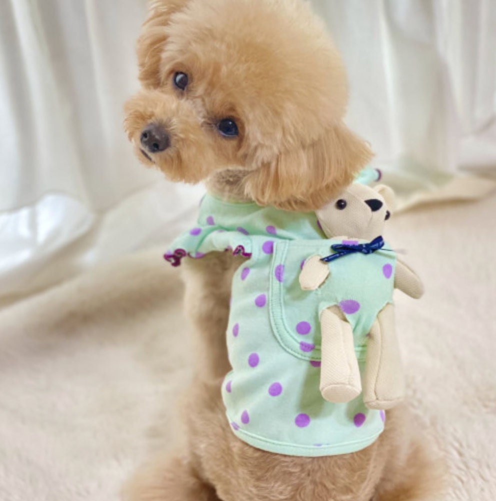 NKpup mint green polka dot dog shirt with a teddy bear pocket detail