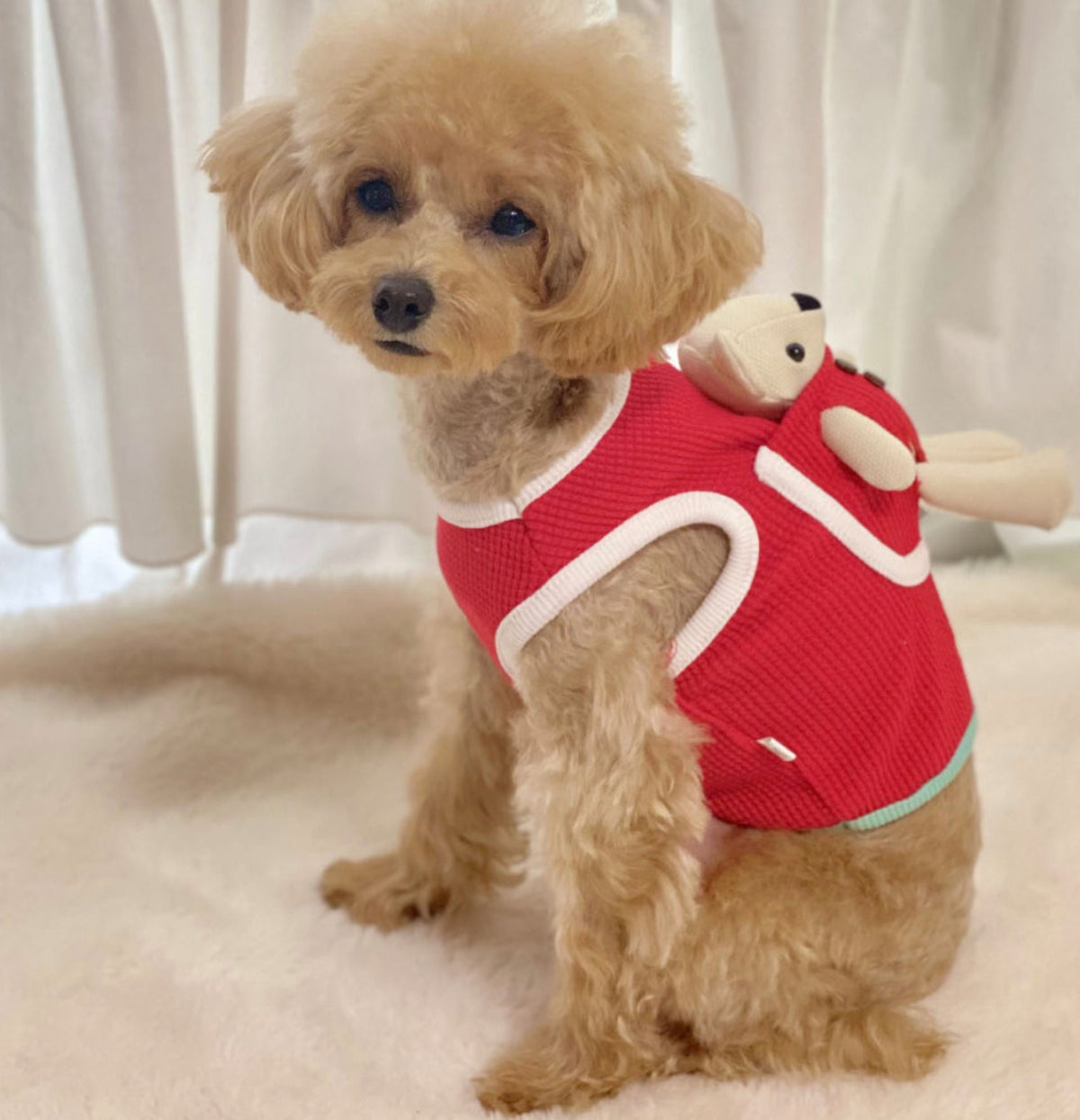 NKpup red plush teddy bear dog tank top with white trim