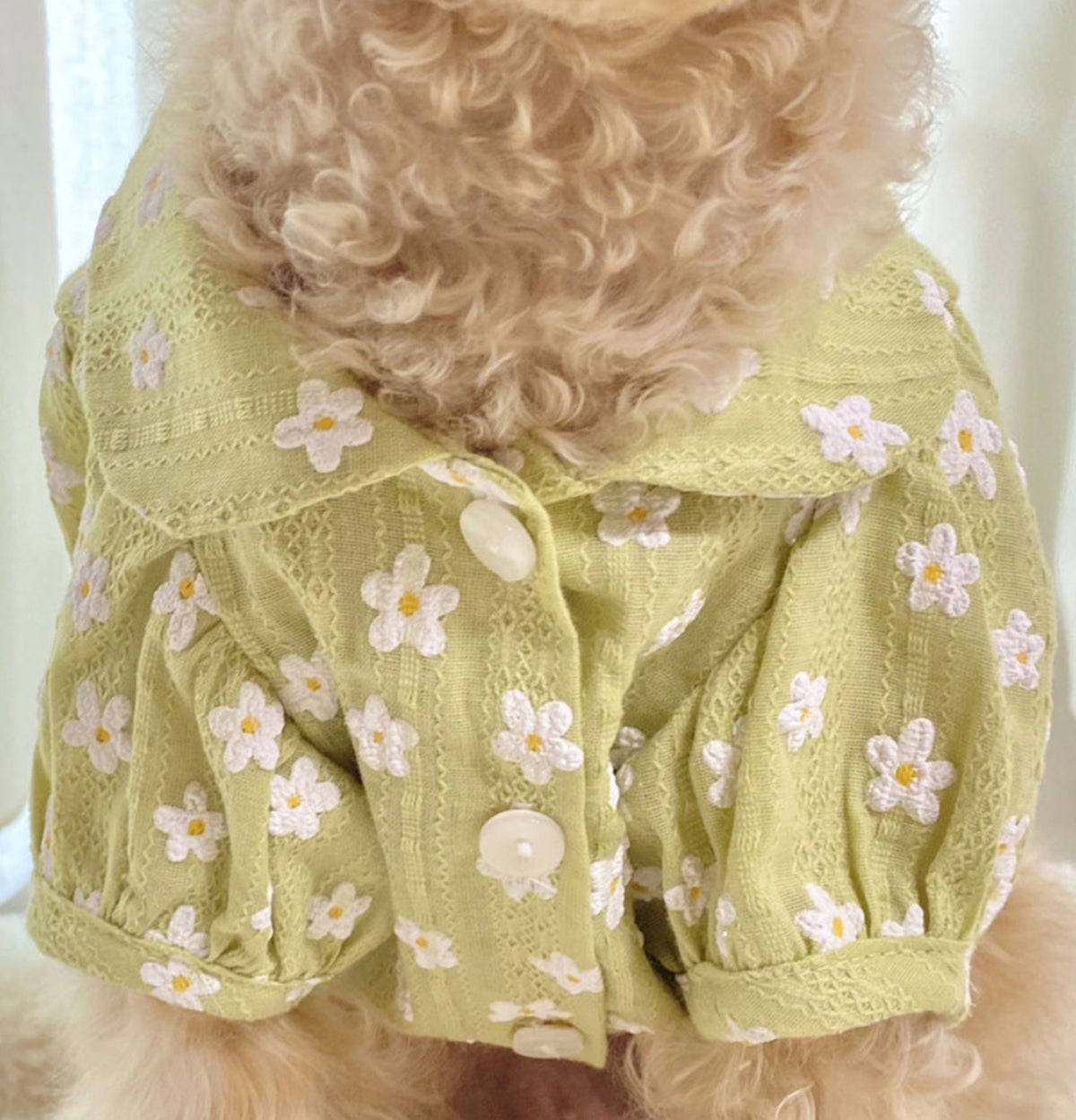 Pastel Floral Dog Blouse